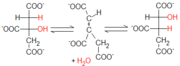 Reacción citrato-isocitrato
